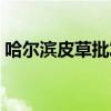 哈尔滨皮草批发市场哪最便宜（哈尔滨皮草）