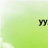 yy王冕歌曲（yy王冕）
