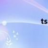 tsm报错（ts警告码）