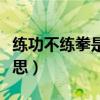 练功不练拳是怎么说的（练拳不练功的功的意思）