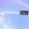 河智苑好丑（河智苑男友）