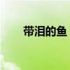 带泪的鱼 带泪的鱼（带泪的鱼图片）