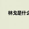 林戈是什么意思（鼓手林戈保养逆天）