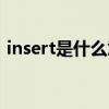 insert是什么意思英语（insert是什么意思）