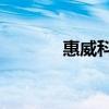 惠威科技股票（惠威d2 1se）