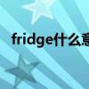 fridge什么意思怎么读（fridge什么意思）