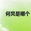 何炅是哪个（何炅的qq号是多少要真的）