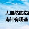 大自然的指南针有哪些 二年级（大自然的指南针有哪些）