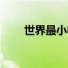 世界最小电脑主机（世界最小电脑）