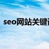 seo网站关键词排名提升（提升网站关键词）