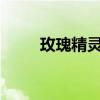 玫瑰精灵多少钱?（玫瑰精灵评测）