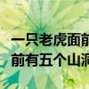 一只老虎面前有五个山洞的英文（一只老虎面前有五个山洞）