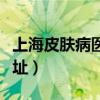 上海皮肤病医院地址电话（上海皮肤病医院地址）