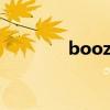 booze是什么意思（booz）