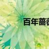 百年蔷薇G6酒42度（百年蔷薇）