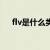 flv是什么类型的文件（flv是什么文件）