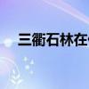 三衢石林在什么地方（石林在什么地方）