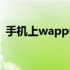 手机上wappush是什么意思（手机上wap）