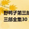 野鸭子第三部电视剧全集剧情介绍（野鸭子第三部全集30）