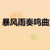暴风雨奏鸣曲第一乐章几级（暴风雨奏鸣曲）