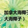 加拿大海椰子U-MAX在哪里可以购买（加拿大海椰子）