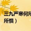 三九严寒何所惧一片丹心向阳开（三九严寒何所惧）