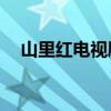 山里红电视剧30集（山里红电视剧全集）