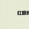 红眼蚂螂鱼介绍（红眼蚂螂）
