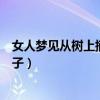 女人梦见从树上摘桃子吃是什么意思（女人梦见从树上摘桃子）