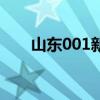 山东001新能源菏泽公司（山东001）