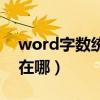 word字数统计在哪里查看（word字数统计在哪）