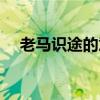 老马识途的意思解释（老马识途的意思）