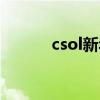 csol新年神器（csol猪年神器）