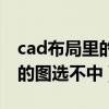 cad布局里的图选不中怎么回事（cad布局里的图选不中）