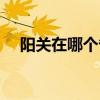 阳关在哪个省份的名称（阳关在哪个省）