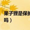 果子狸是保护动物吗二级（果子狸是保护动物吗）