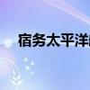 宿务太平洋航空官网（宿雾太平洋航空）