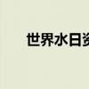 世界水日资料200字（世界水日资料）