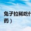 兔子拉稀吃什么药最快见效（兔子拉稀吃什么药）