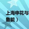 上海申花与鲁能比赛直播（上海申花vs山东鲁能）