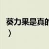 葵力果是真的吗怎么样（葵力果唯一官方网站）
