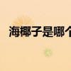 海椰子是哪个国家的国宝（加拿大海椰子）