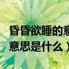 昏昏欲睡的意思是什么生肖动物（昏昏欲睡的意思是什么）