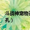 斗战神宠物开孔技巧是什么?（斗战神宠物开孔）