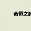 奇恒之腑的功能特点（奇恒之腑）