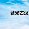 紫光古汉高磁化沐浴器（紫光古汉）