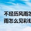 不经历风雨怎么见彩虹英语怎么说（不经历风雨怎么见彩虹）