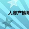 人参产地哪里最好（人参的主要产地）