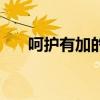 呵护有加的意思是什么（呵护的意思）