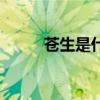 苍生是什么意思（苍是什么意思）